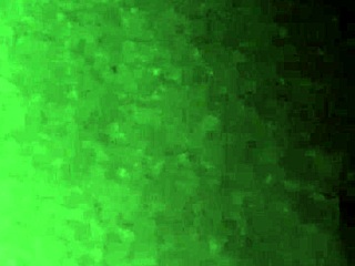 Car Ride Oral Pleasure