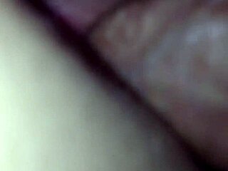 Homemade Creampie Cum Amateur