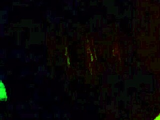 Bitch passionately sucks my throbbing cock