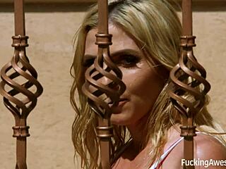 Christie Stevens, Blonde Pornstar with Big Tits, Fucks Neighbor Hard and Gets Facial Cumshot