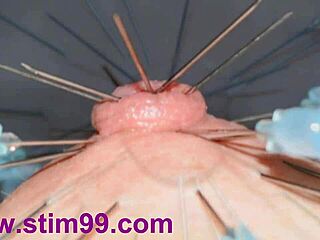 젖꼭지 피어싱 극단적으로 하며 식염수 뿜어내기!