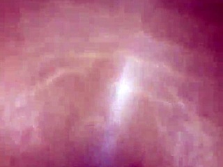 why am i fucking my ex bitch again?