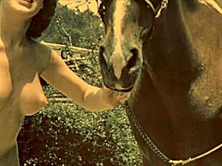 Dark Lantern Entertainment Unveils Women With Animals in Retro Style