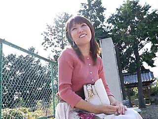 full version of 336knb-130