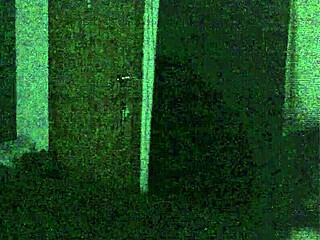 Rough Anal Fucking Of Transsexual Crossdresser By Redneck In Homemade Reality