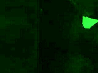 I watched this Argentinian couple fucking passionately in a Buenos Aires cyber cafe.