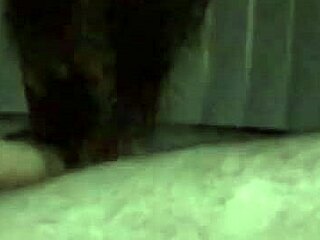 Busty asian delivers intense blowjob with big tits bouncing wildly during passionate session