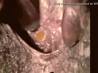 Ladyboy Rails Tgirls Ass In Glamour Lingerie.