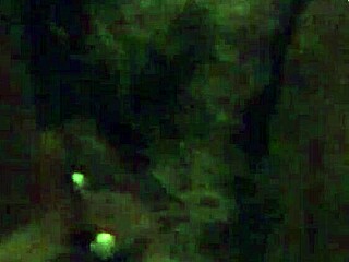 Hairy Pussy Explored With Vibrator In Intimate Toy Session.