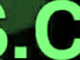 Melina Khalifa bends over for doggystyle in the woods with strangers!