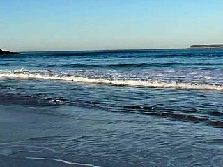 Melina Khalifa bends over for doggystyle in the woods with strangers!