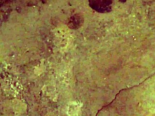 Dirty Feet Fetish Play. Casual Exploration.