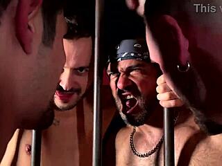 Monster Cock Bareback Action with Apolo Adri, Bony Babyron, and More