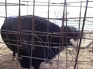 having fun with the sexy chubby spanish mara lopez