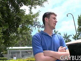 just watching some homo sex on xvideos, it's wild