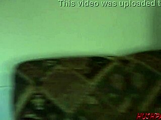 frat boys introduce pussycat presley to top dog