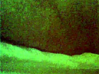 Ladyboy shemale performs detailed cock sucking on webcam