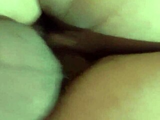 This chubby latina is riding that cock so hard in anal, you won't believe it.