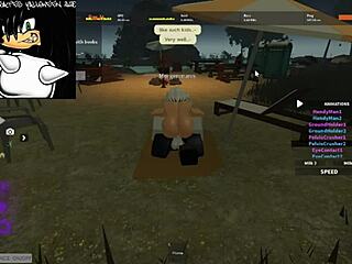 cat gives blowjob while riding in erotic role play