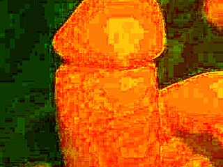 Bound cock bondage play tied up