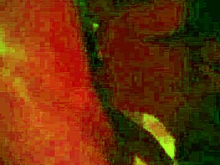 Amateur Couple Filmed in Reality Show Just Us