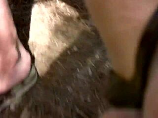 brunnet slut sucking n fucking tight wet pussy