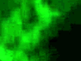 fucking that big booty black girl