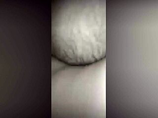 Périscope Couple Fucks Anal