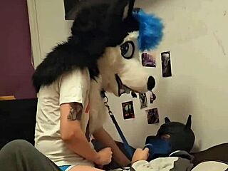 Heyy, femboy husky fursuiter cums riding boyfriend so hard