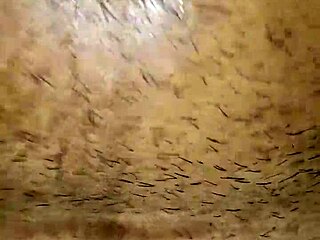 latina woman performs in casual video scene