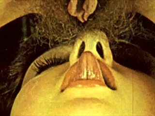 レトロなアンティーク部屋で毛深いレズビアンたちが絡み合う