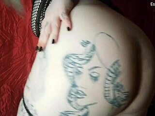 i show you my fat ass.