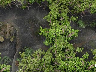 Mistress in anime game answering the lust call 😈 part 85