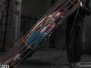 do you want zealous arse whipping, playgirl?