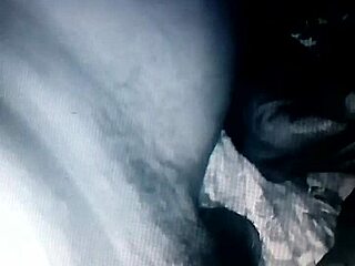 Chibolo Pulpo enjoys oral sex in group orgy