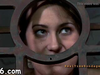 Four Angels Trapped in Cage for Intense Missionary Fucking