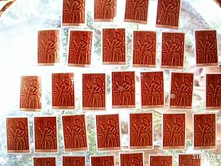 what fucking do you see in my future?