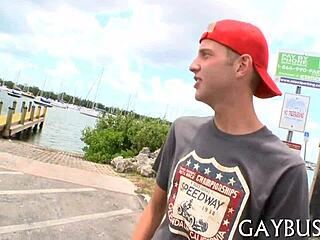 Those porn gay guys are wild