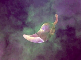 esse mestre do oral me faz tremer toda, veja mais em xv red