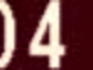 Big Beautiful Home Ladies 3