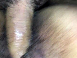 europa brazilera explores mature latina experiences in florida