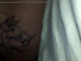 europa brazilera explores mature latina experiences in florida