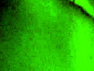 Exciting ride with passion