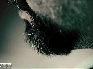 busty brunette maddy may gets pounded in doggystyle.