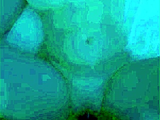 Blonde Safada Motel Fuck With Big Cock