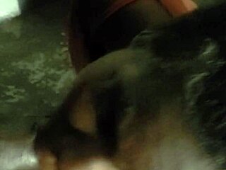 Verification Video Part 1