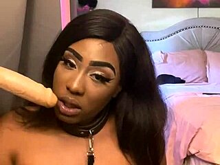 lexo butterflys sucks cock off the wall