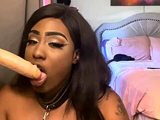 lexo butterflys sucks cock off the wall