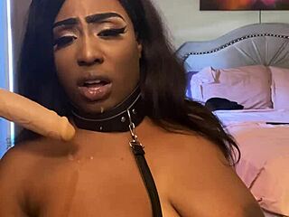 lexo butterflys sucks cock off the wall