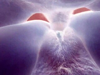 i reflect on the black and white contrasts in this simple scene